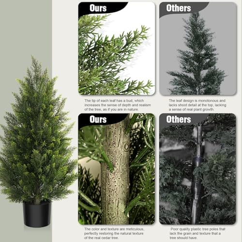 Vitalismo Outdoor Cedar Topiary Tree 3ft