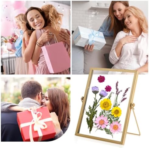 HyzaPhix Gold 4x6 Pressed Flower Frame
