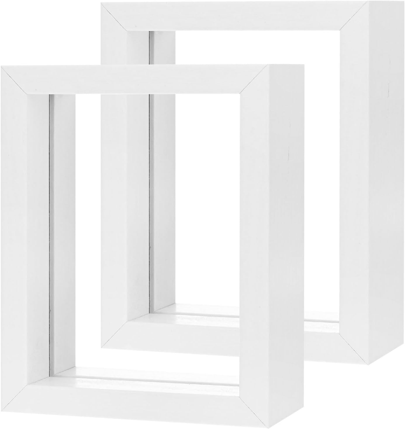 2-Pack Wooden Pressed Flower Frame with Floating Design White