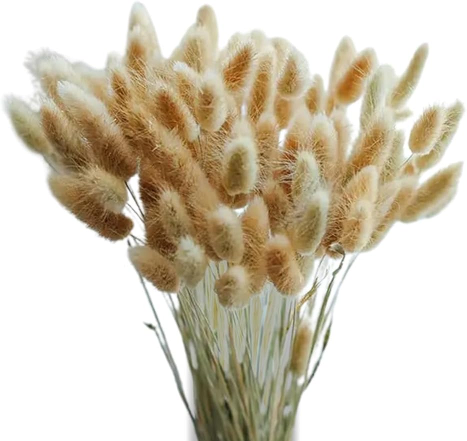 ECYC 60 Pcs Dried Bunny Tails Flowers Boho Decor