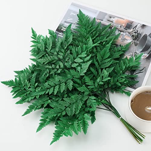 Tavkite Dried Boston Ferns 10 PCS 15 Inch Real Leaves