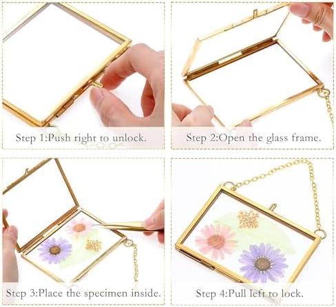Belupai 2pcs Glass Pressed Flower Frames