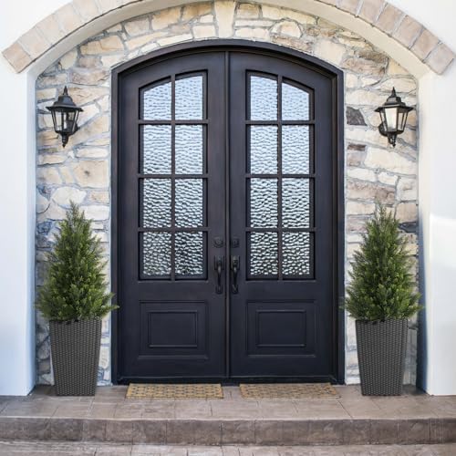 Vitalismo Outdoor Cedar Topiary Tree 3ft