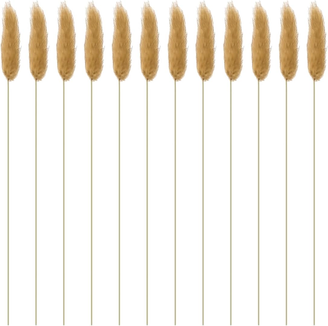 Queenbox 169in 60pcs Dried Pampas Grass Centerpieces