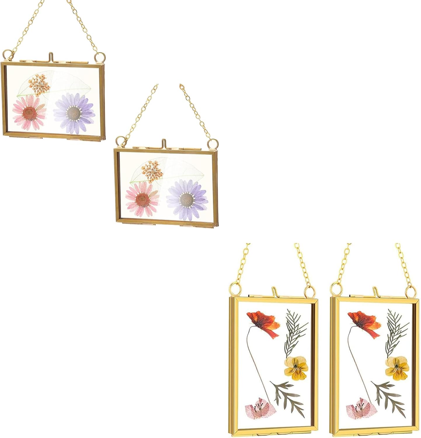 Belupai 2pcs Glass Pressed Flower Frames