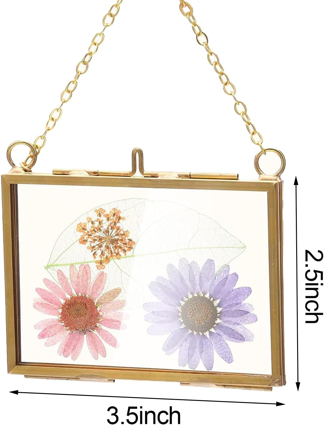 Belupai 2pcs Glass Pressed Flower Frames