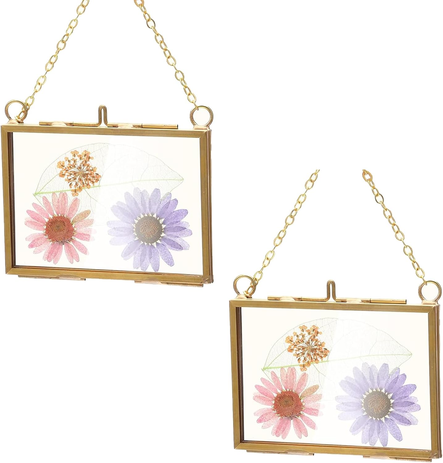Belupai 2pcs Glass Pressed Flower Frames