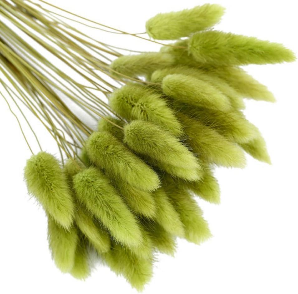 Hotfiary 150 Pcs Dried Pampas Grass Decor
