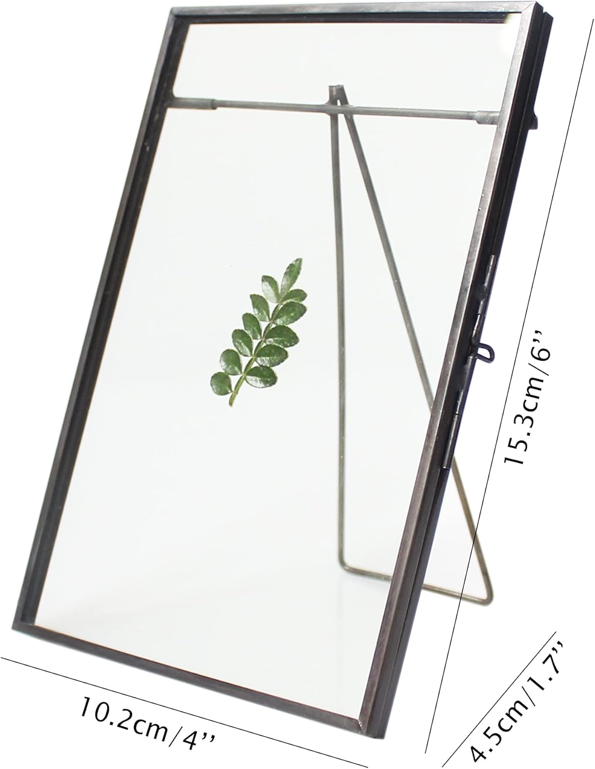 Black Brass Glass Floating Frame for Dried Flowers and Photos