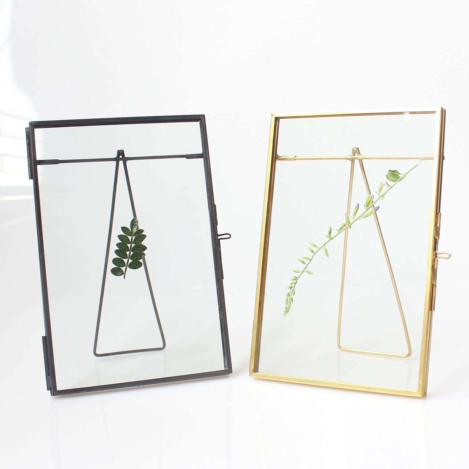 Black Brass Glass Floating Frame for Dried Flowers and Photos