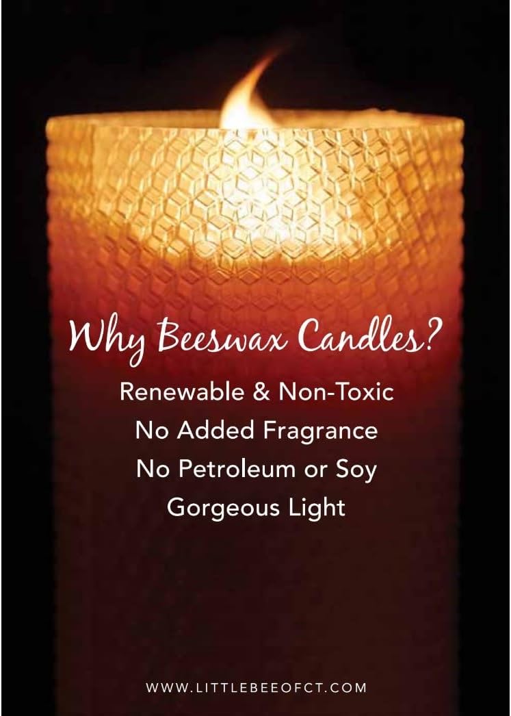 Little Bee of CT Hand Rolled Beeswax Pillar Candle