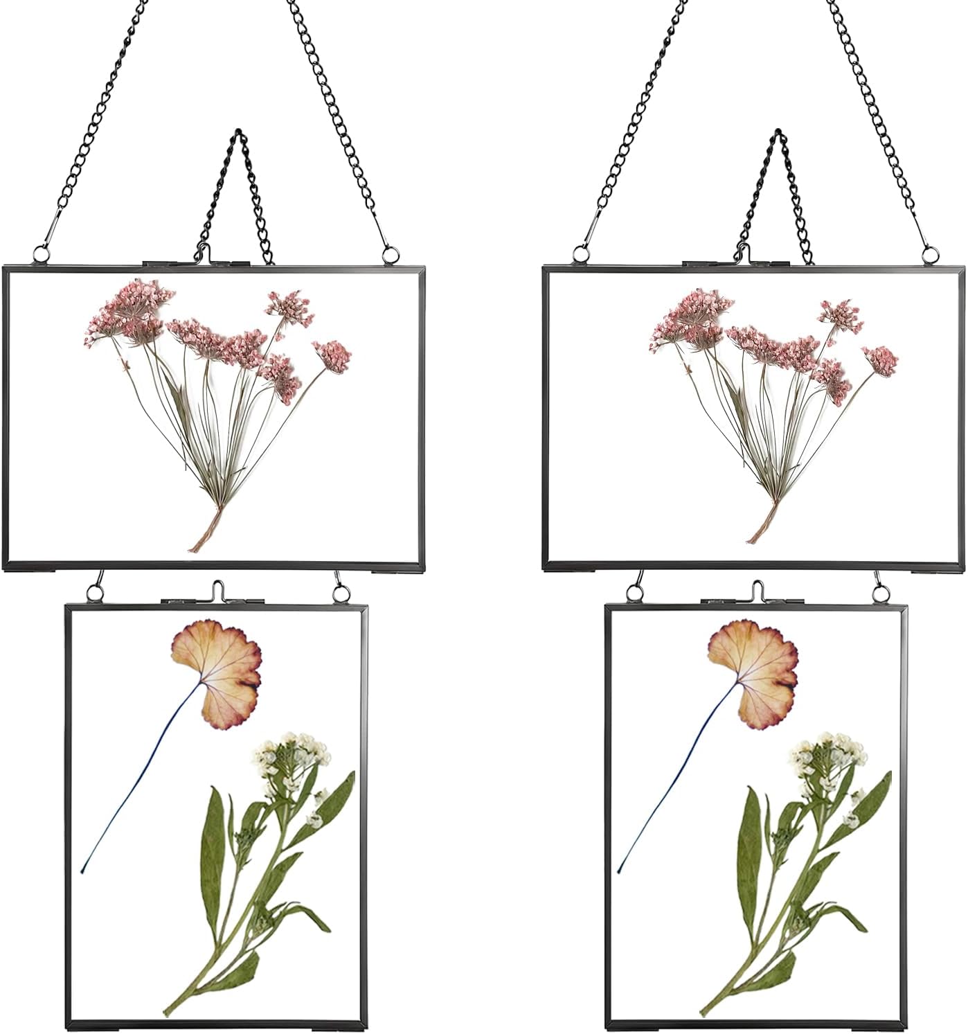 4 Pack 5x7 Pressed Flower Frames Black Glass Hanging Frames with Chain