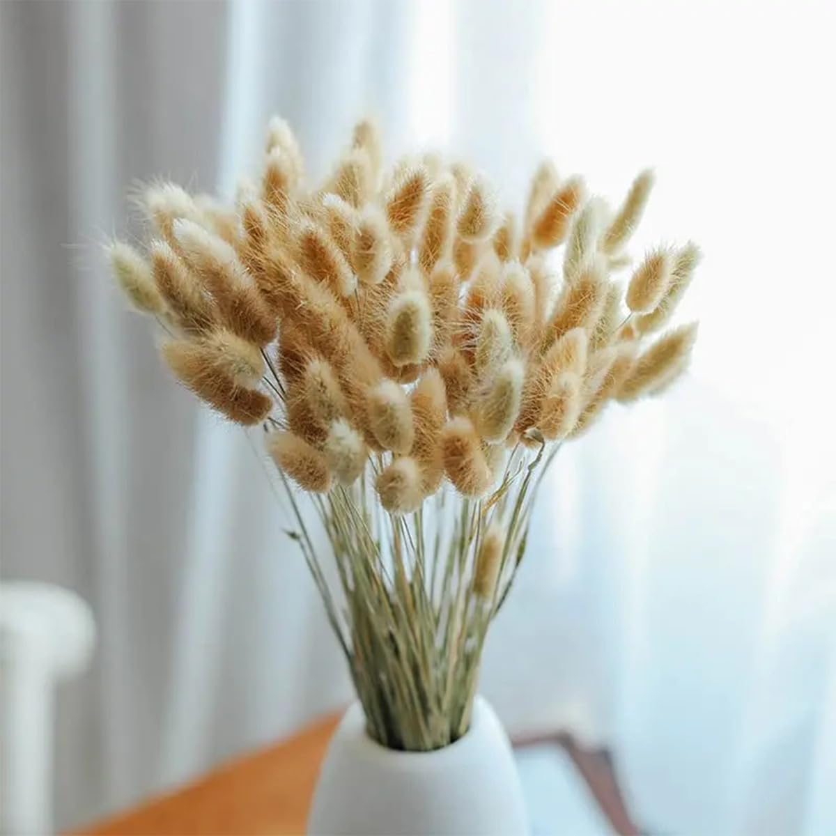 ECYC 60 Pcs Dried Bunny Tails Flowers Boho Decor
