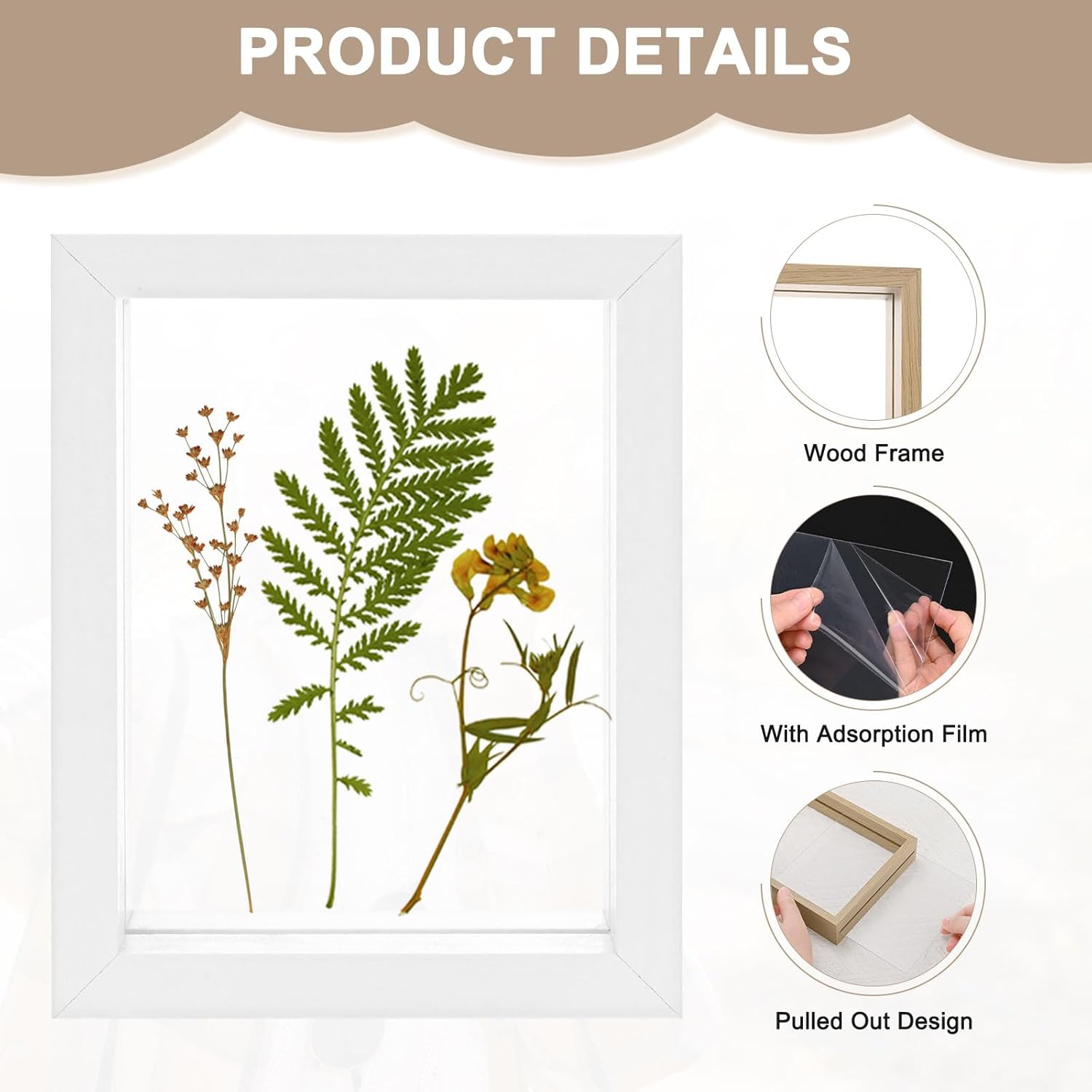 2-Pack Wooden Pressed Flower Frame with Floating Design White