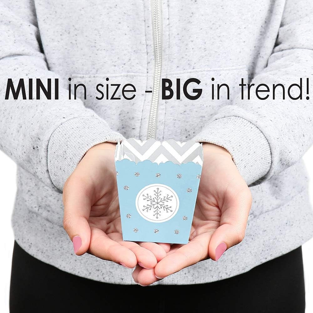Big Dot of Happiness Winter Wonderland Party Favor Boxes Set of 12