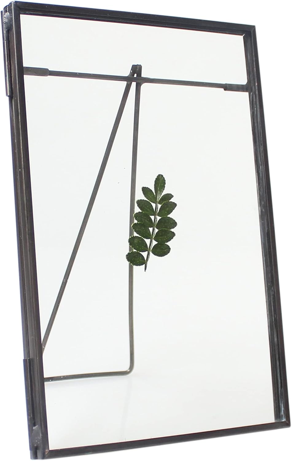 Black Brass Glass Floating Frame for Dried Flowers and Photos