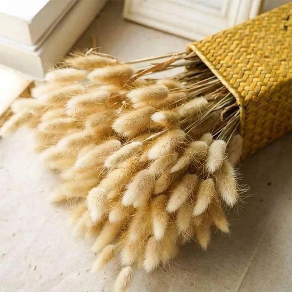 ECYC 60 Pcs Dried Bunny Tails Flowers Boho Decor