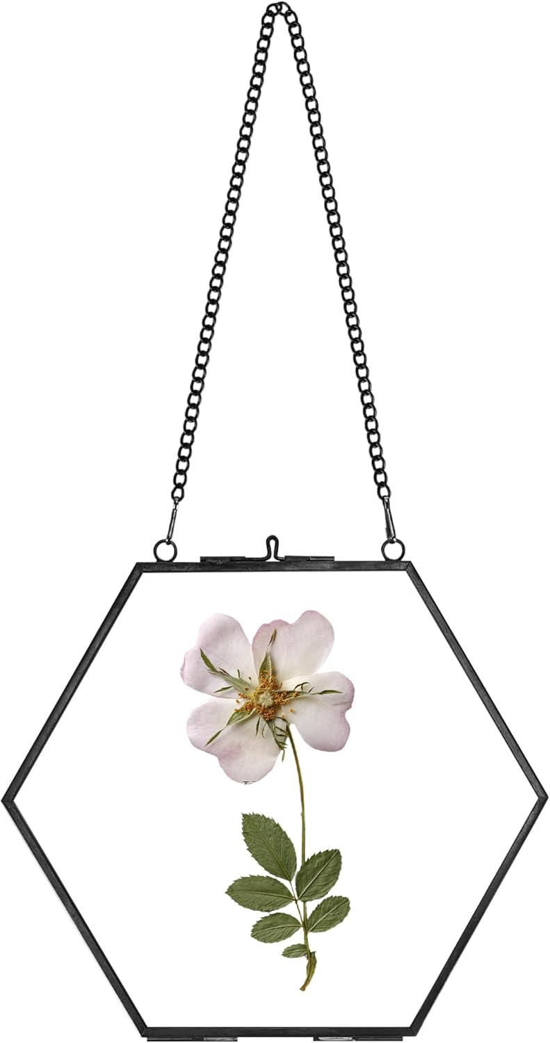 Chic Handcrafted Hexagon Glass Flower Frame