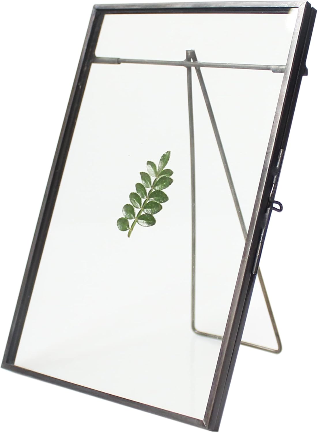 Black Brass Glass Floating Frame for Dried Flowers and Photos