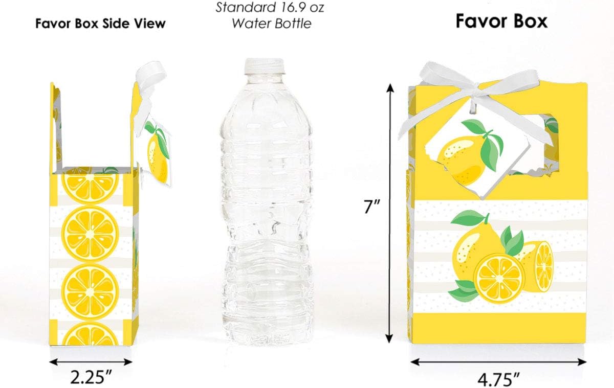 Big Dot of Happiness So Fresh Lemon Favor Box Set of 12