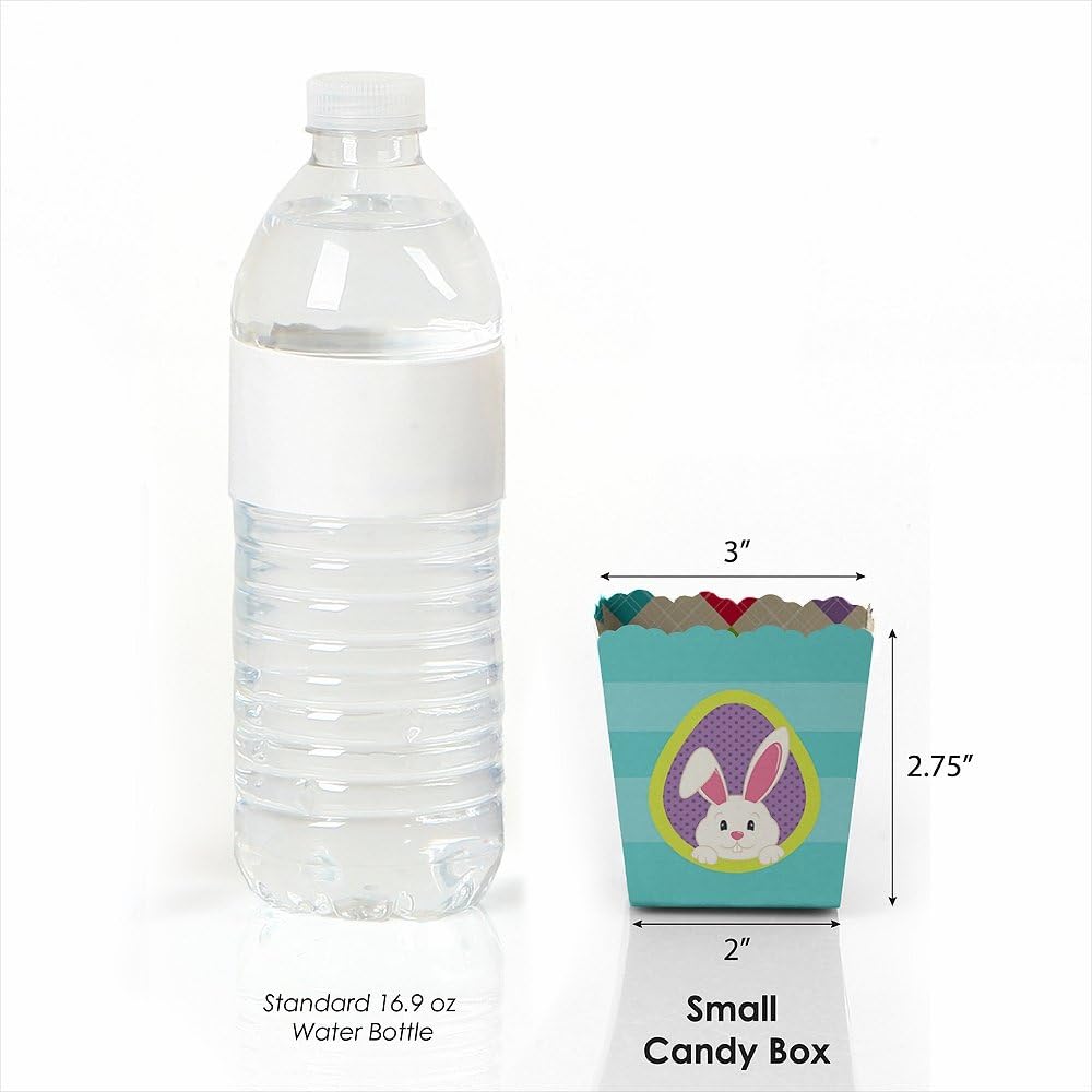 Big Dot of Happiness Hippity Hoppity Party Favor Boxes 12 Pack