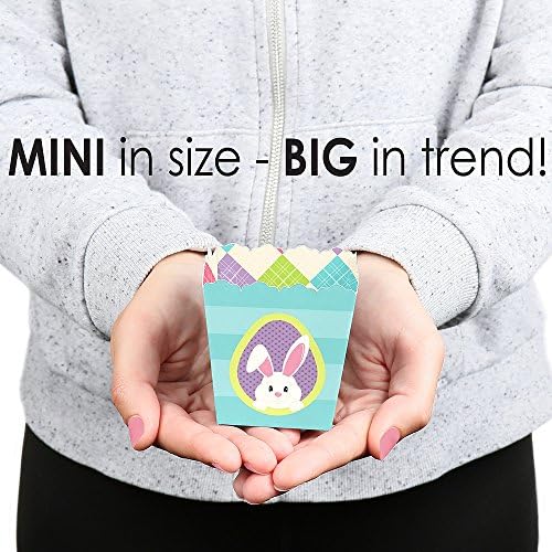 Big Dot of Happiness Hippity Hoppity Party Favor Boxes 12 Pack