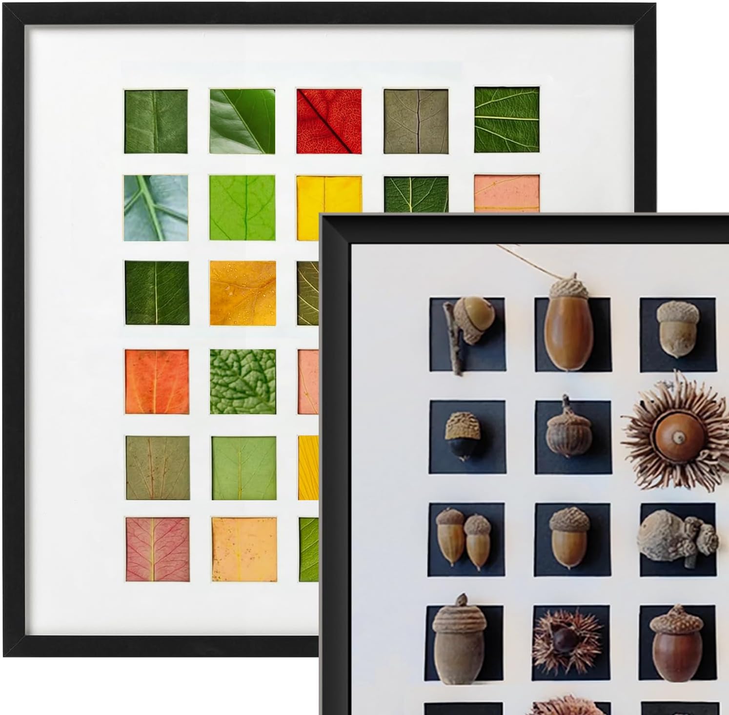 2 Pack Dried Leaf Photo Frame With Plexiglas And Stand