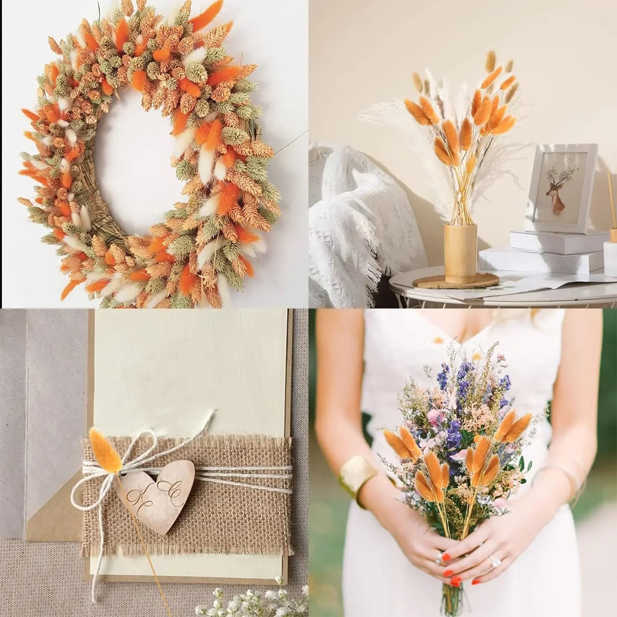 ECYC 60 Pcs Dried Bunny Tails Flowers Boho Decor