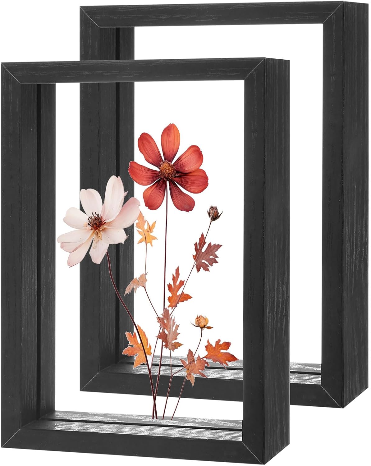2-Pack Wooden Pressed Flower Frame 4x6 Inch