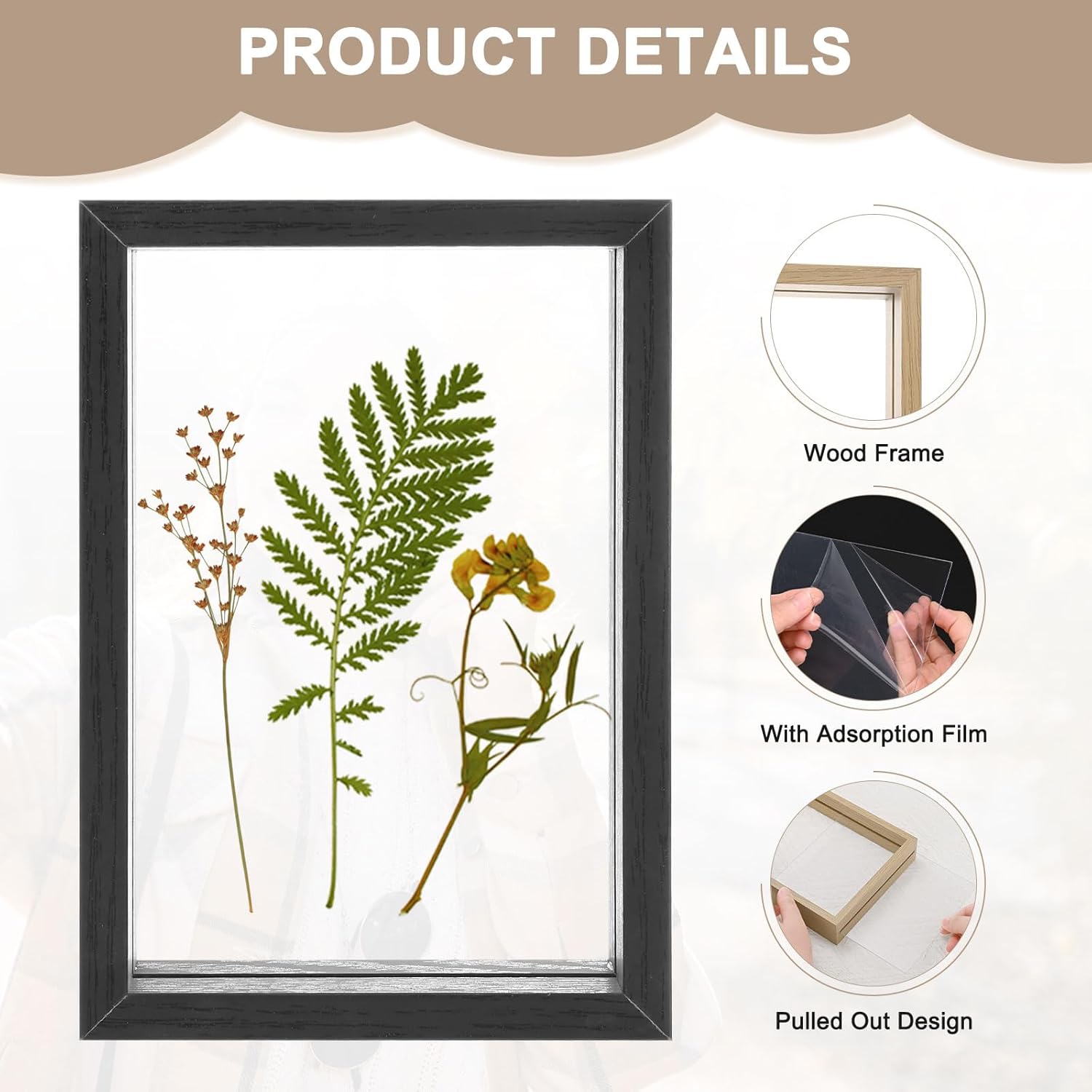 2-Pack Wooden Pressed Flower Frame 4x6 Inch