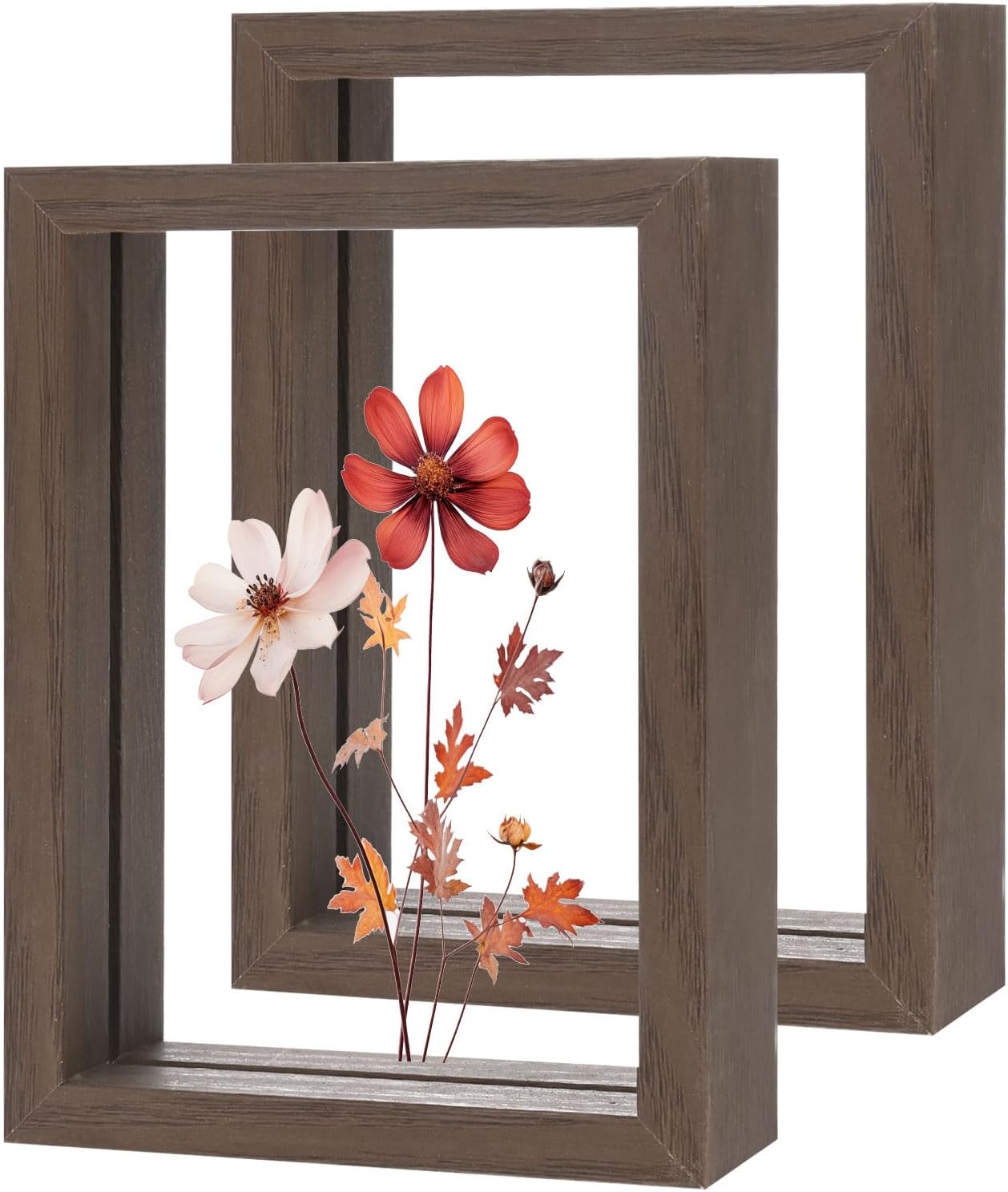 2-Pack Wooden Pressed Flower Frame with Acrylic Panels