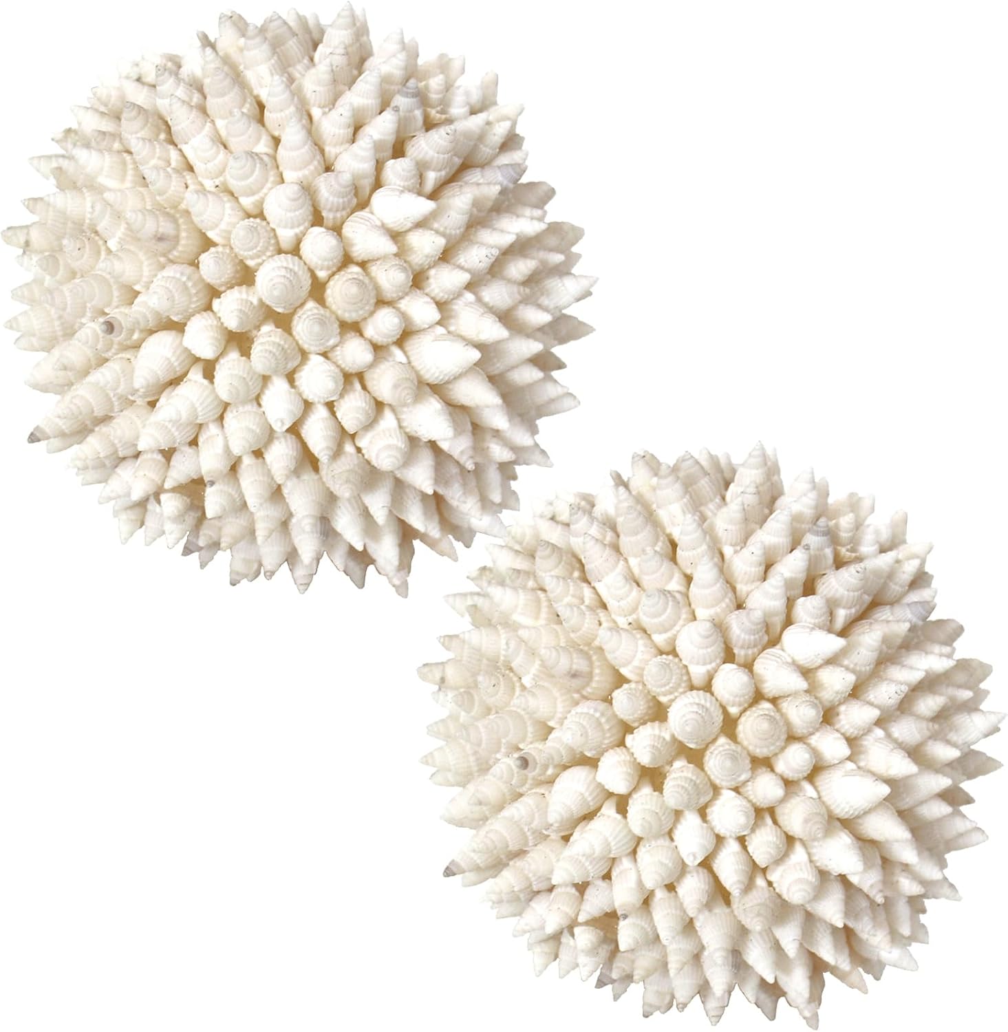 White Sea Shells Balls 4 Inch Nautical Decor