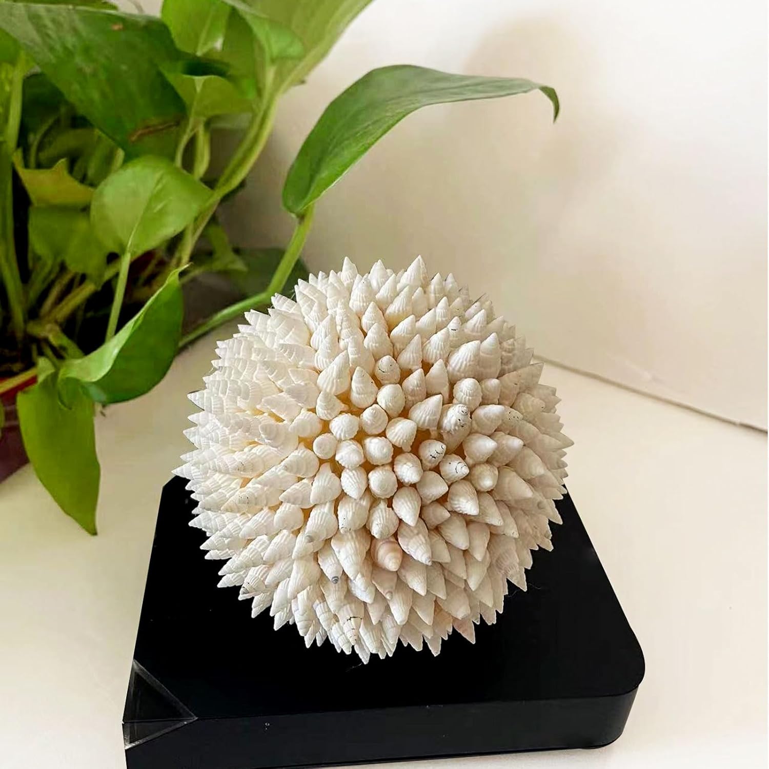 White Sea Shells Balls 4 Inch Nautical Decor