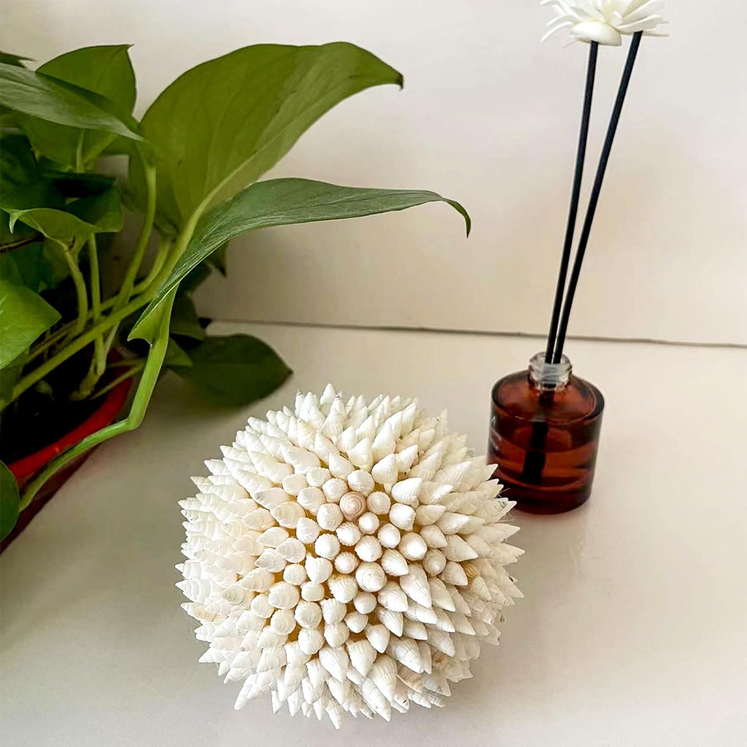 White Sea Shells Balls 4 Inch Nautical Decor
