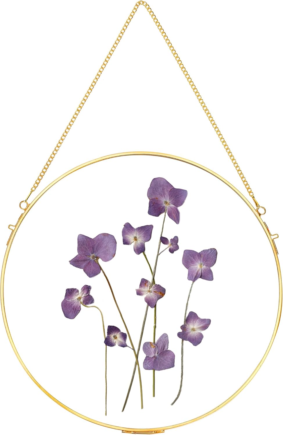 REDHUGO Handmade Glass Frame for Pressed Flowers Wall Decor