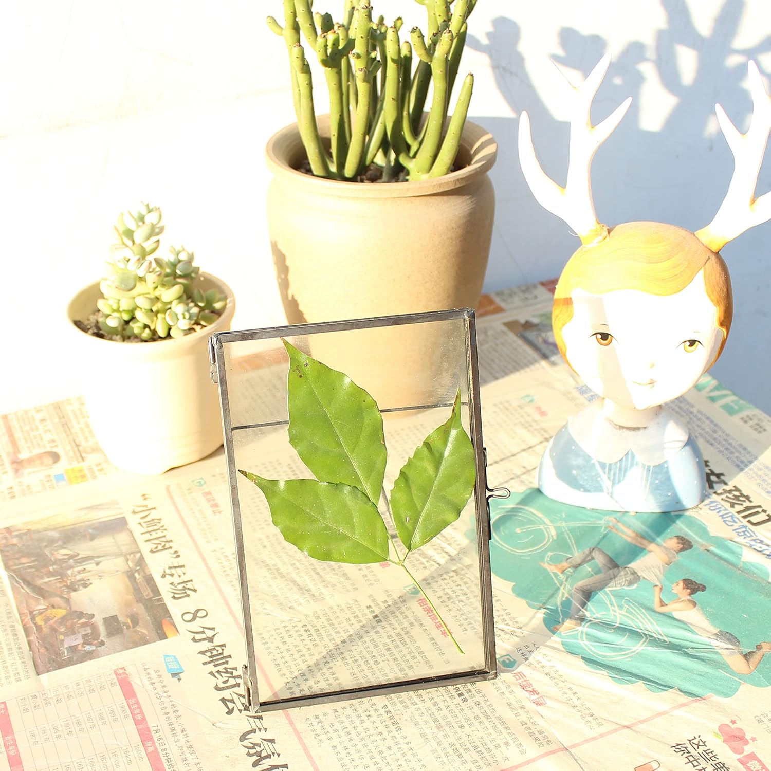Black Brass Glass Floating Frame for Dried Flowers and Photos