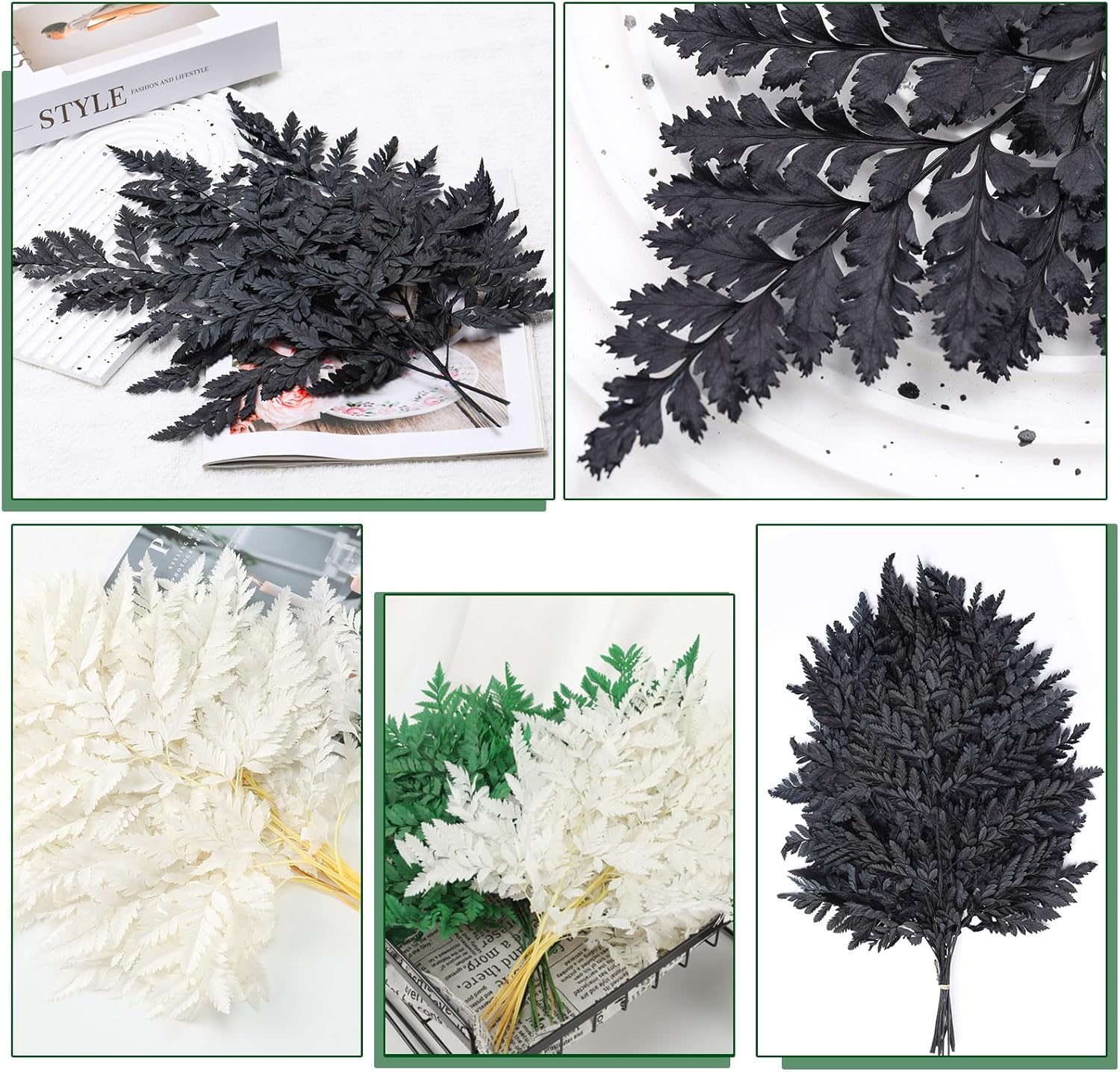 Tavkite Dried Boston Ferns 10 PCS 15 Inch Real Leaves