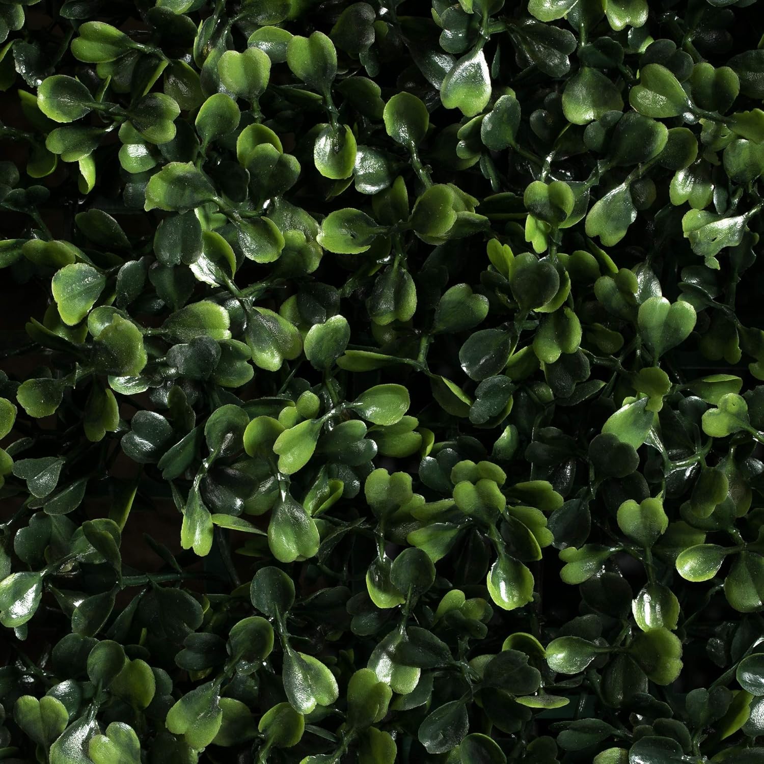 Vickerman 72 x 48 x 16 Artificial Boxwood Hedge